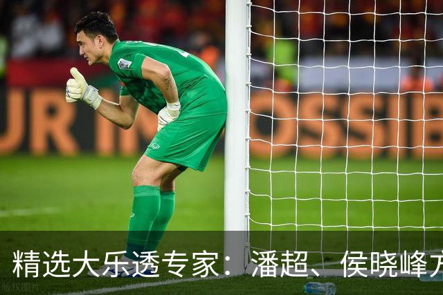 精选大乐透专家：潘超、侯晓峰方案同中748万