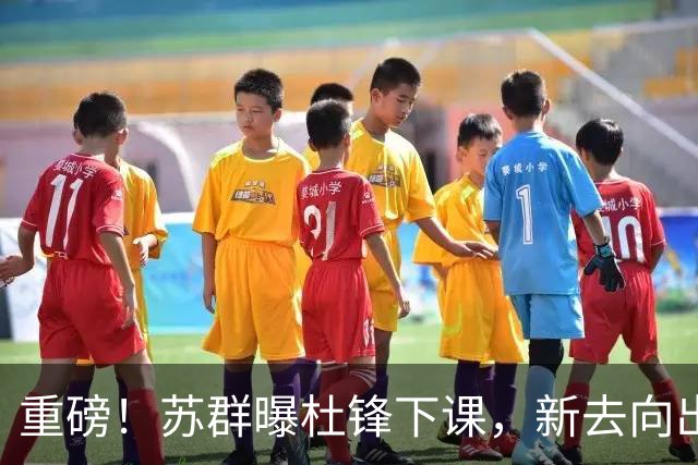重磅！苏群曝杜锋下课，新去向出炉，球迷喊话杨鸣接手，能行吗？